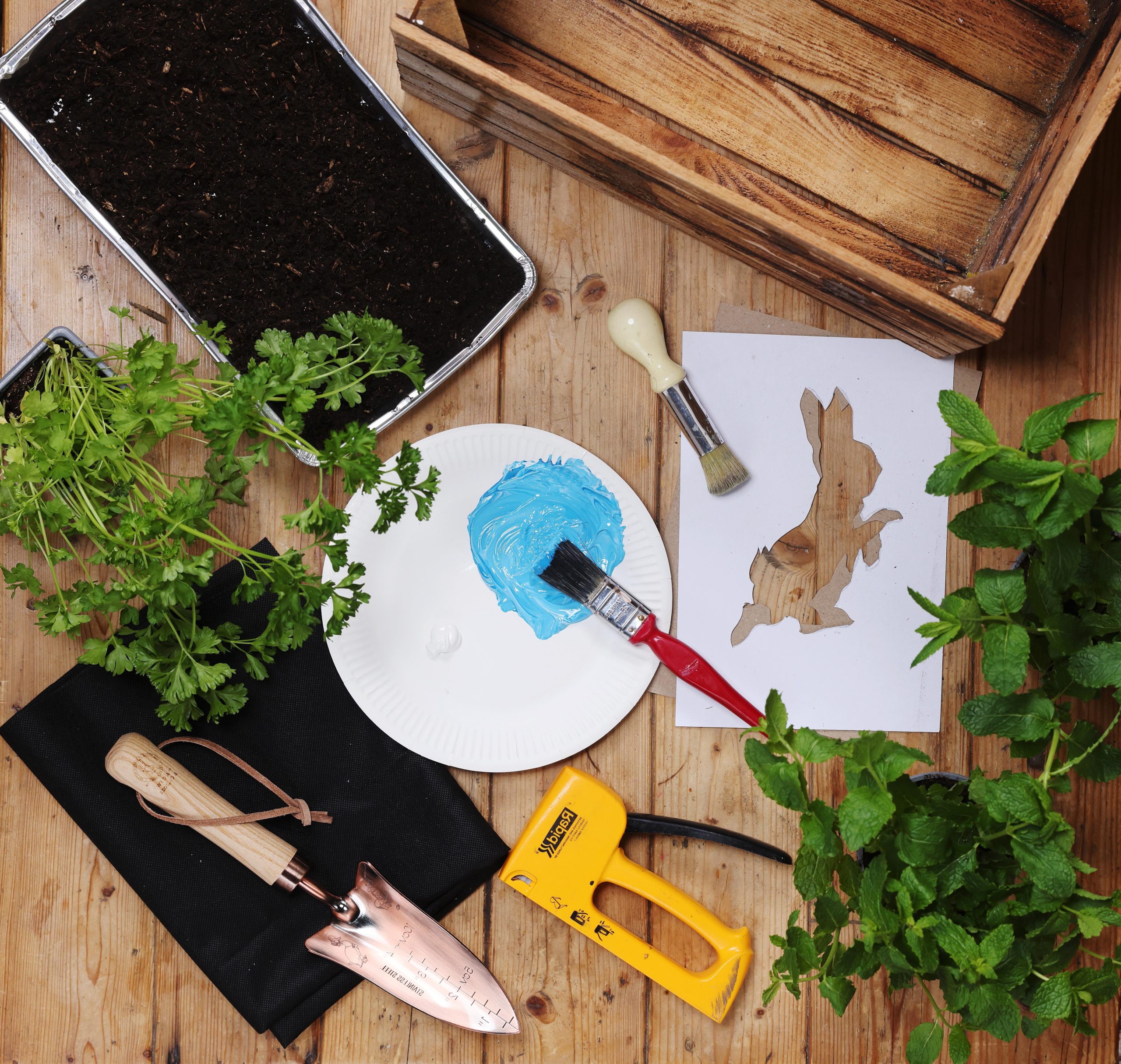 A Planter for Peter Rabbit - Peter Rabbit