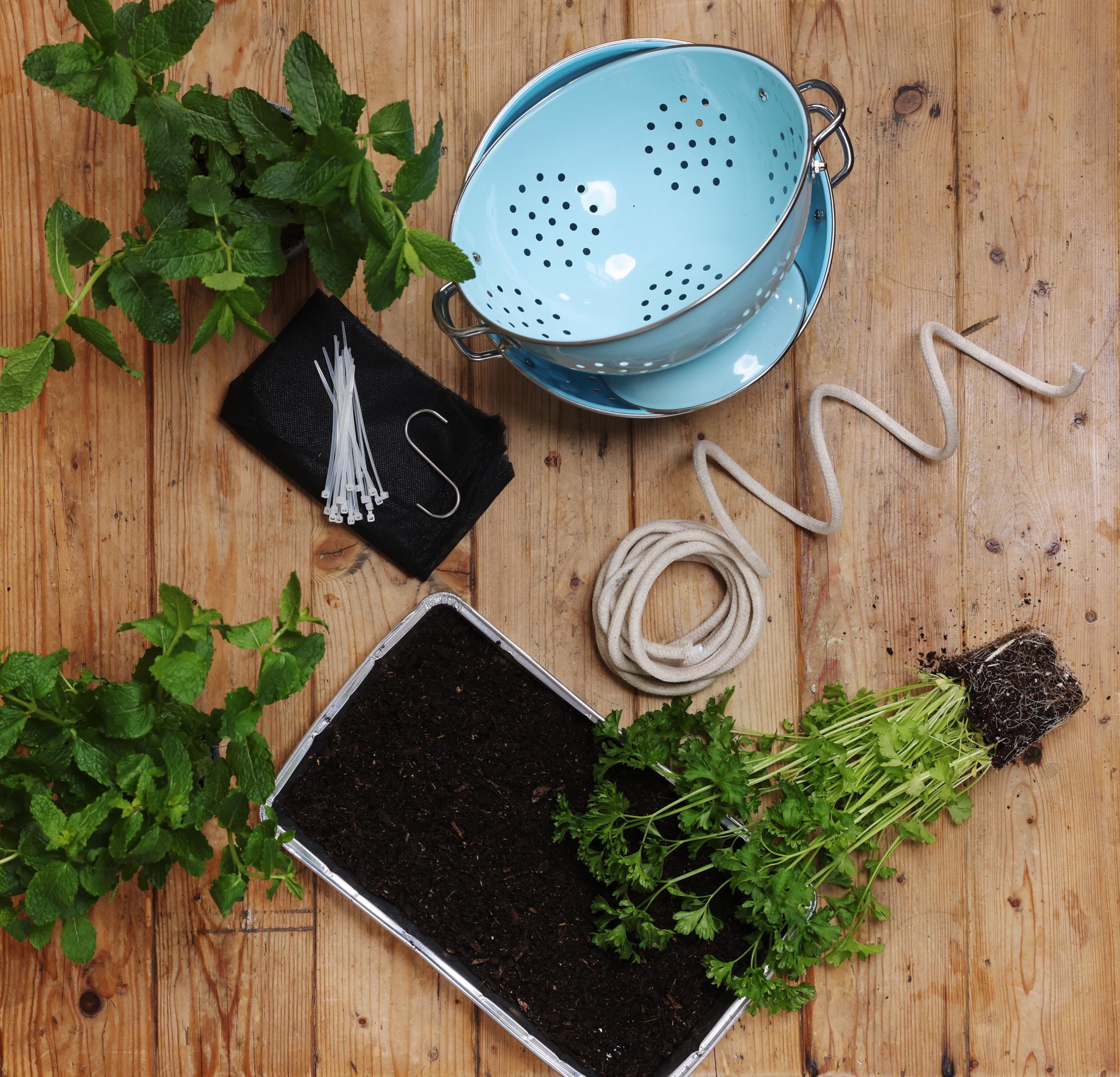 Welcome to the official home of Peter Rabbit