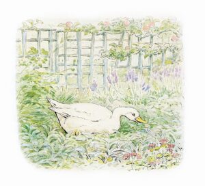 The Gardens of Peter Rabbit - Peter Rabbit
